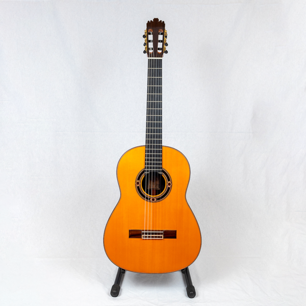 GUITARRA 3
