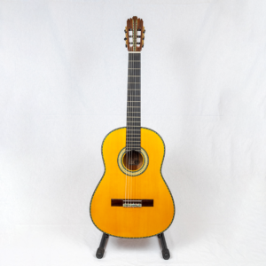 GUITARRA 2