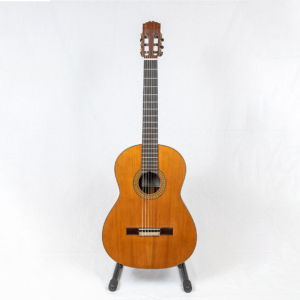 GUITARRA 5