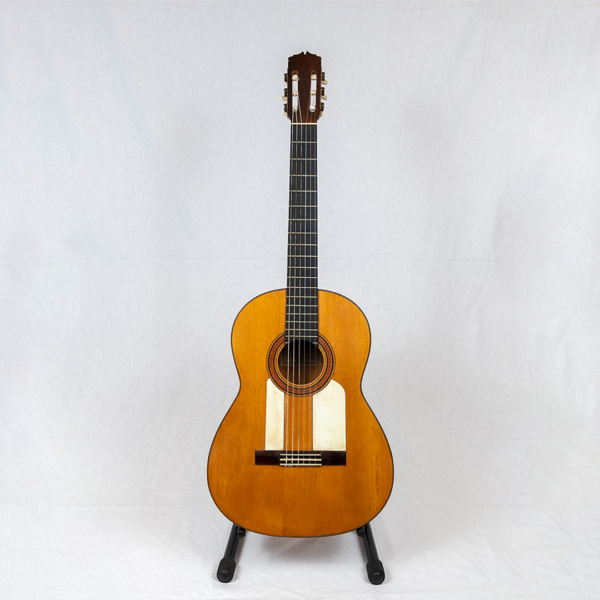 GUITARRA 8